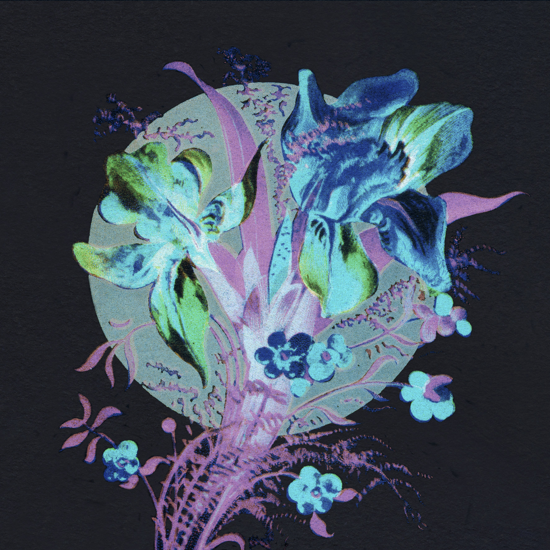 ahandfulofdustisadesert